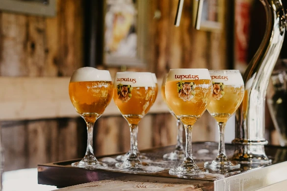 Service qualité, 4 verres à bières servis, blonde, mousse, Lupulus